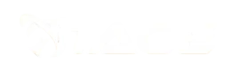 1 ace